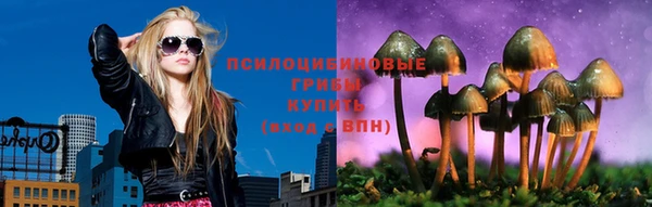 гашик Лиски