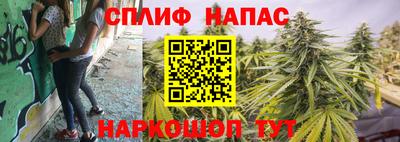 шишки Абакан