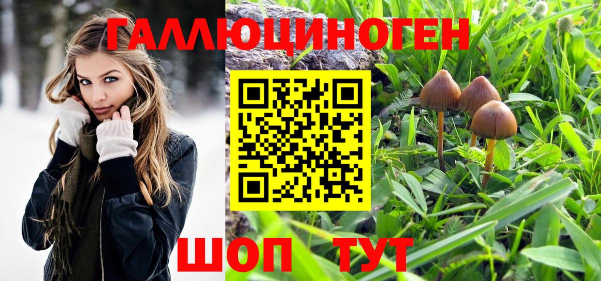 Галлюциногенные грибы Psilocybe Электросталь