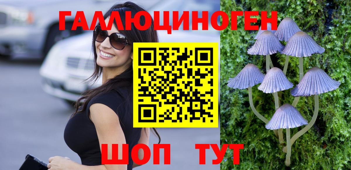 Галлюциногенные грибы Psilocybine cubensis Электросталь