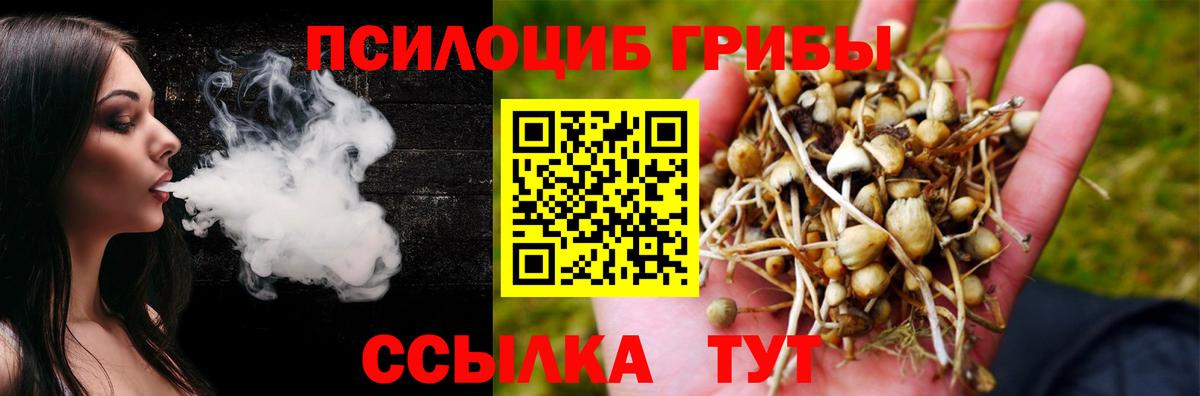 Псилоцибиновые грибы Magic Shrooms  Псилоцибиновые грибы Psilocybe  Вход с VPN  Электросталь 